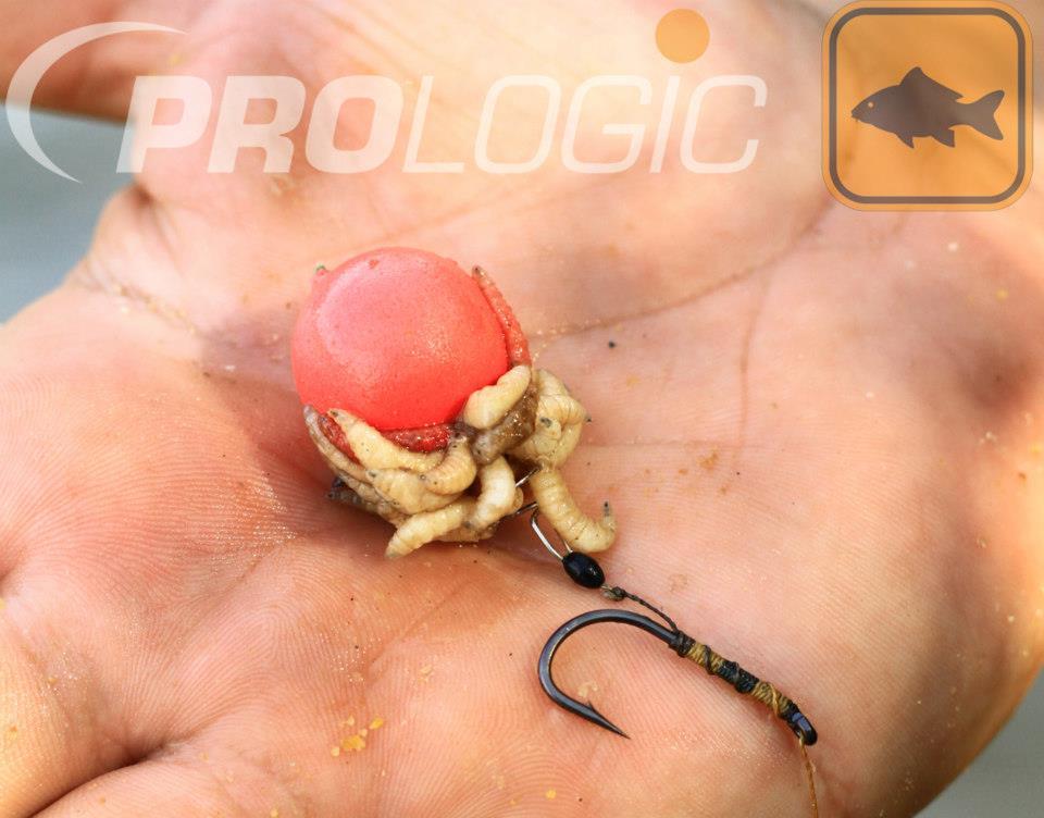 PROLOGIC - 164490490925900966981231826476n.jpg